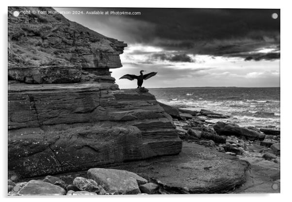 Burghead View Acrylic by Tom McPherson