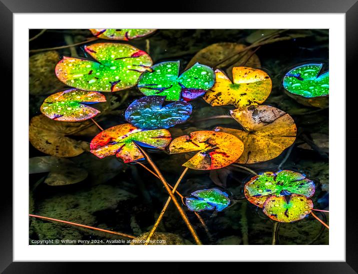 Fall Lily Pads Tofuku-Ji Zen Buddhist Temple Kyoto Japan Framed Mounted Print by William Perry