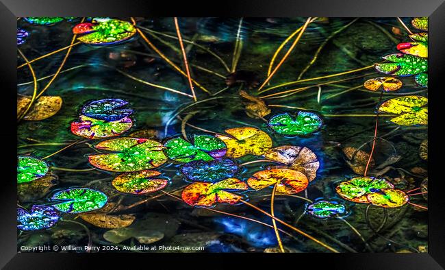 Colorful Fall Lily Pads Tofuku-Ji Zen Buddhist Temple Kyoto Japa Framed Print by William Perry