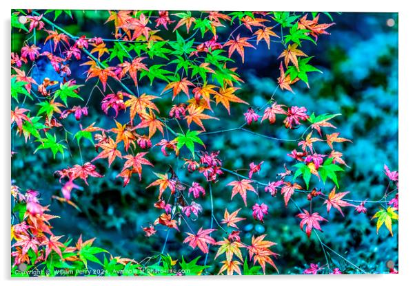 Colorful Fall Leaves Tofuku-Ji Zen Buddhist Temple Kyoto Japan Acrylic by William Perry