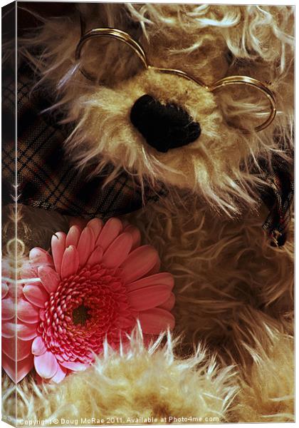 Teddy and Flower Canvas Print by Doug McRae