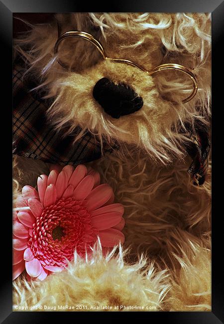 Teddy and Flower Framed Print by Doug McRae