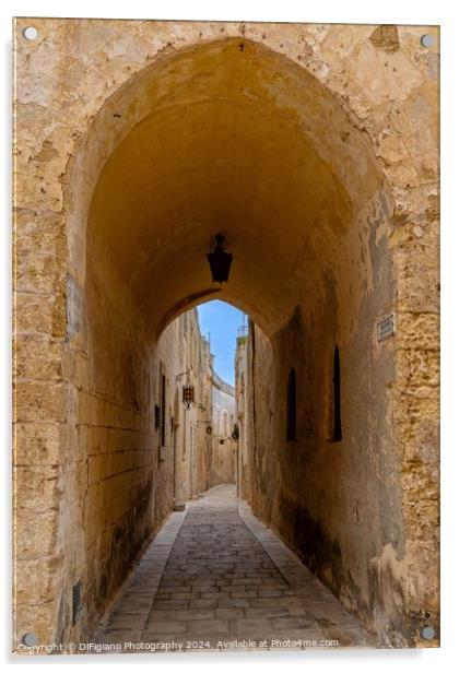 Alley Arch Acrylic by DiFigiano Photography