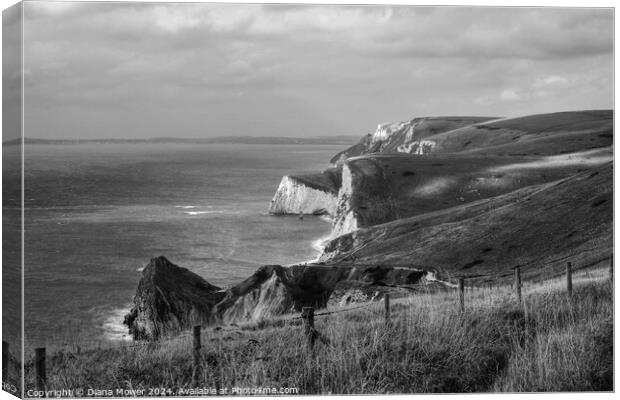 The Jurassic Coast Black and white Canvas Print by Diana Mower