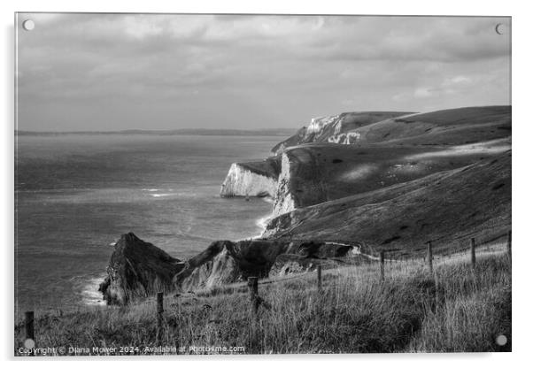 The Jurassic Coast Black and white Acrylic by Diana Mower