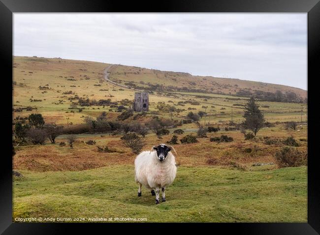 Minions Bodmin Moor Framed Print by Andy Durnin