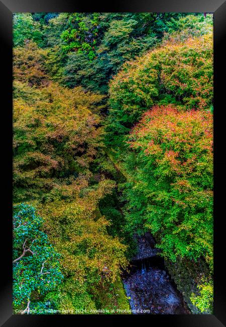 Colorful Fall Leaves Tofuku-Ji Zen Buddhist Temple Kyoto Japan Framed Print by William Perry