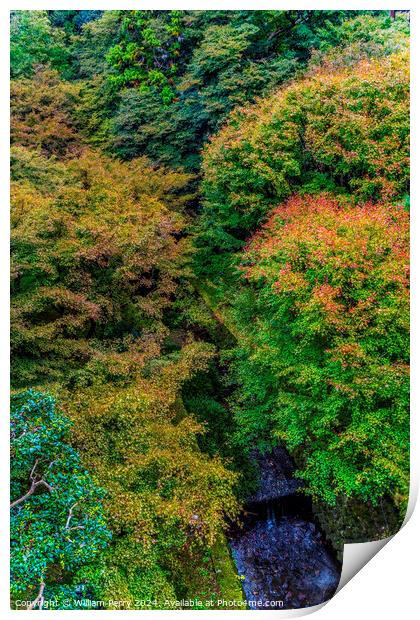 Colorful Fall Leaves Tofuku-Ji Zen Buddhist Temple Kyoto Japan Print by William Perry