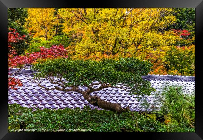 Colorful Tree Fall Leaves Tofuku-Ji Zen Buddhist Temple Kyoto Ja Framed Print by William Perry