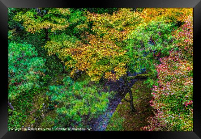 Colorful Trees Fall Leaves Tofuku-Ji Zen Buddhist Temple Kyoto J Framed Print by William Perry