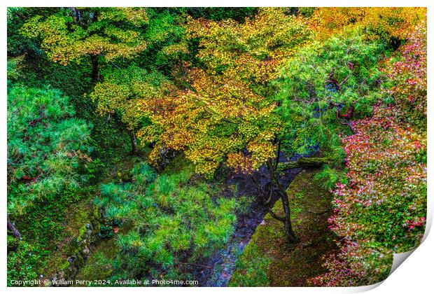 Colorful Trees Fall Leaves Tofuku-Ji Zen Buddhist Temple Kyoto J Print by William Perry