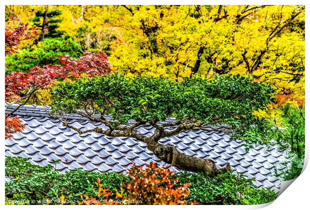 Colorful Tree Fall Leaves Tofuku-Ji Temple Kyoto Japan Print by William Perry