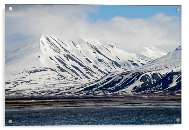 Arctic Landscape Acrylic by Martyn Arnold