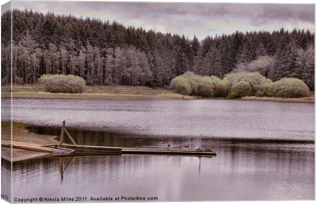 Pretty Lake Canvas Print by Alexia Miles