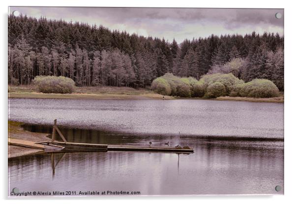 Pretty Lake Acrylic by Alexia Miles