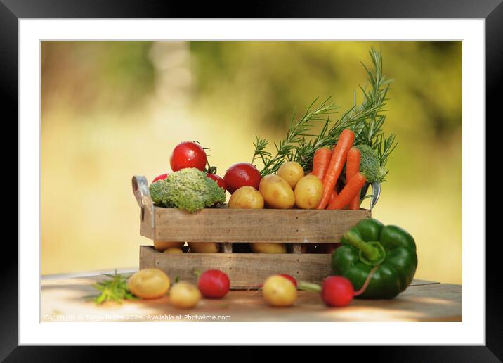 Freshly filled vegetable box on the table Framed Mounted Print by Tanja Riedel