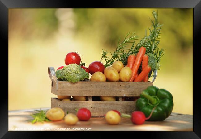 Freshly filled vegetable box on the table Framed Print by Tanja Riedel