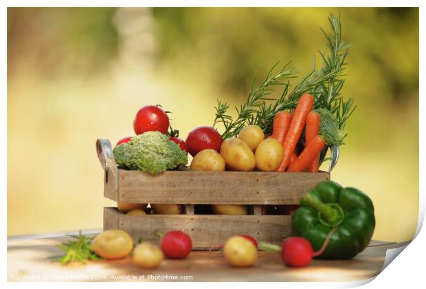 Freshly filled vegetable box on the table Print by Tanja Riedel