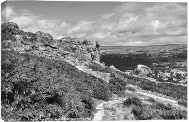 The Cow and Calf Ilkley Monochrome Canvas Print by Diana Mower