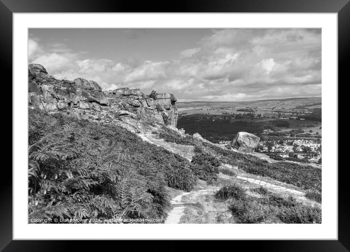 The Cow and Calf Ilkley Monochrome Framed Mounted Print by Diana Mower