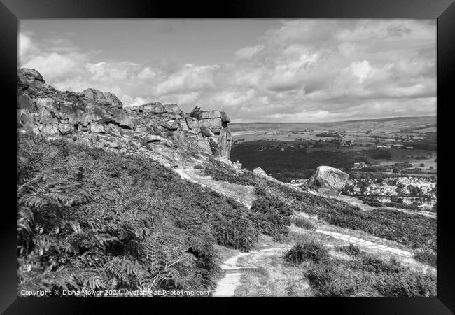 The Cow and Calf Ilkley Monochrome Framed Print by Diana Mower