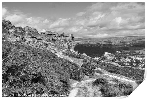 The Cow and Calf Ilkley Monochrome Print by Diana Mower