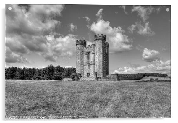 Hiorne Tower West Sussex Monochrome Acrylic by Diana Mower