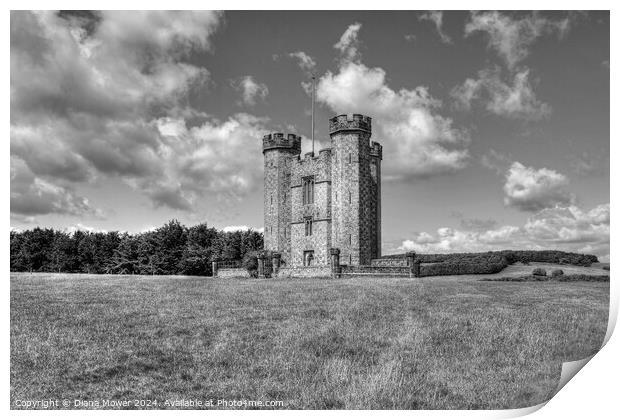 Hiorne Tower West Sussex Monochrome Print by Diana Mower