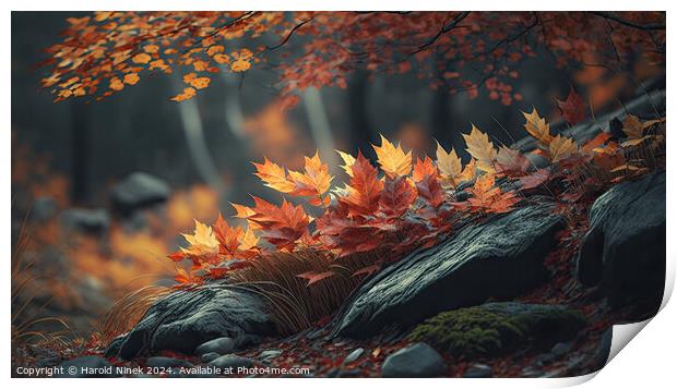 Autumn in the Forest Print by Harold Ninek