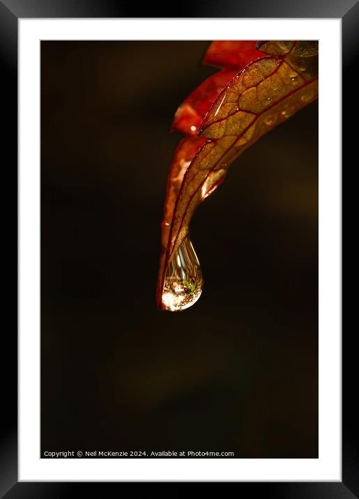 Water drop on a leaf  Framed Mounted Print by Neil McKenzie