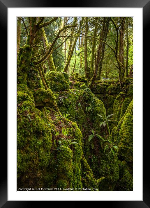 Enchanted woodland  Framed Mounted Print by Neil McKenzie
