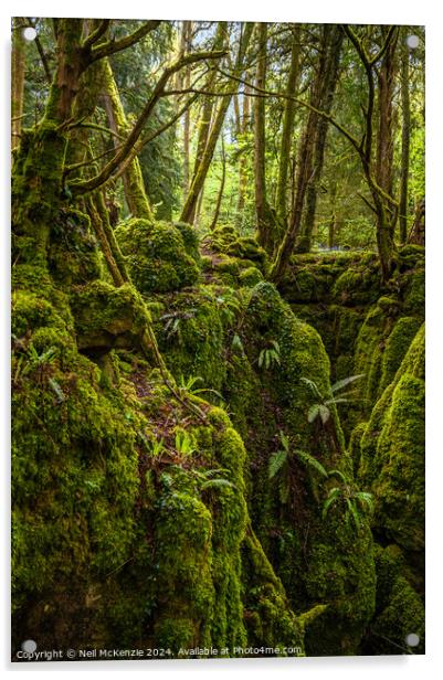 Enchanted woodland  Acrylic by Neil McKenzie
