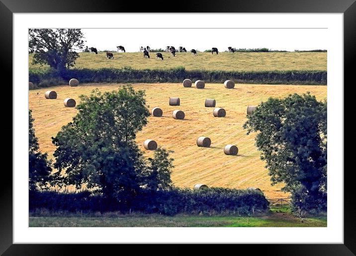 Harvest on Hillside Framed Mounted Print by Bryan 4Pics
