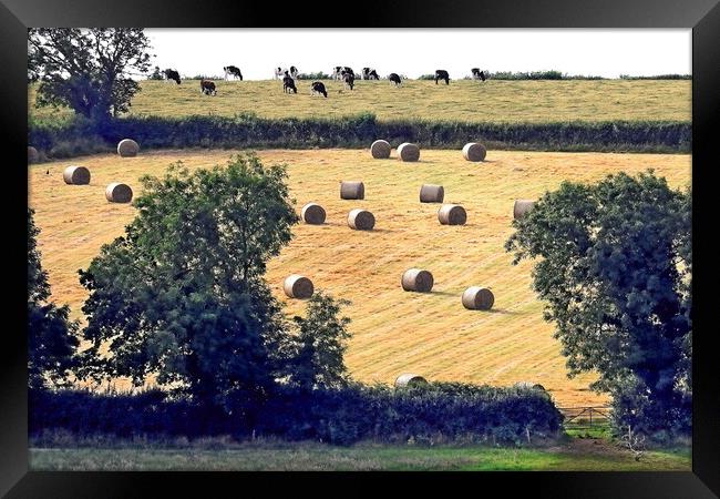 Harvest on Hillside Framed Print by Bryan 4Pics