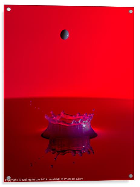 Splash bowl Acrylic by Neil McKenzie