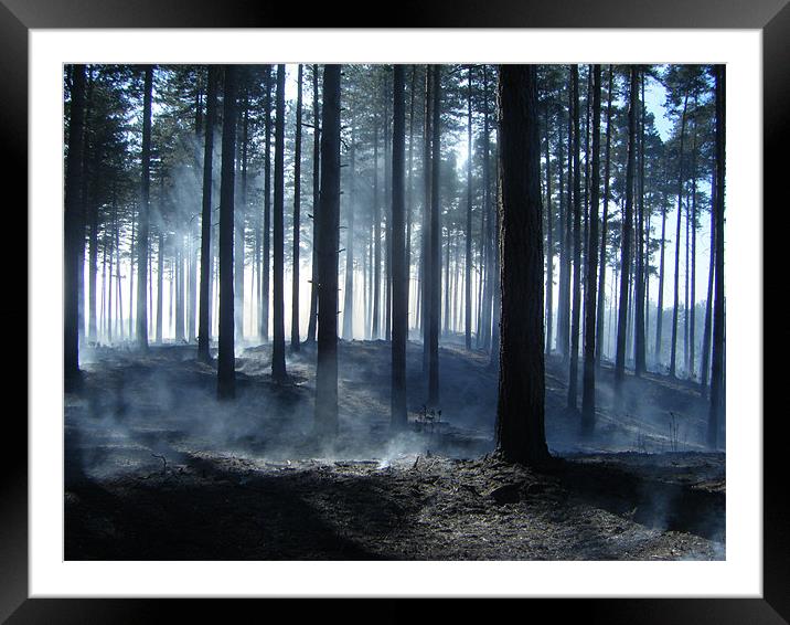 Forest Fire Smoking Aftermath Framed Mounted Print by Dane Lenander