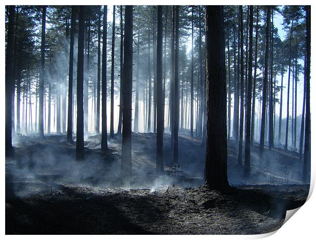 Forest Fire Smoking Aftermath Print by Dane Lenander