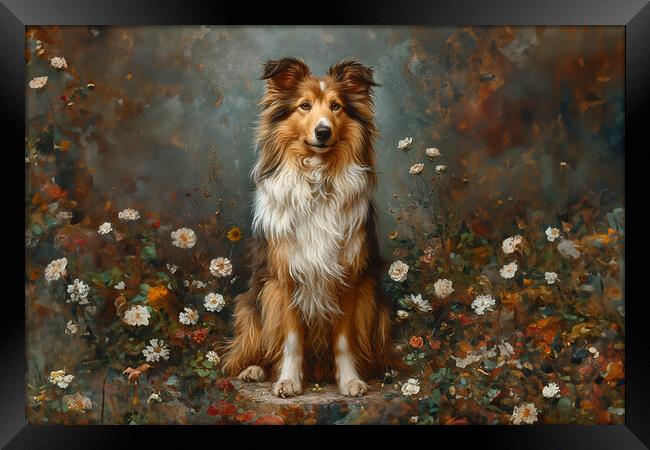 Collie Dog Framed Print by Picture Wizard