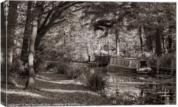 Canal Boat on the Basingstoke Canal sepia Canvas Print by Pearl Bucknall