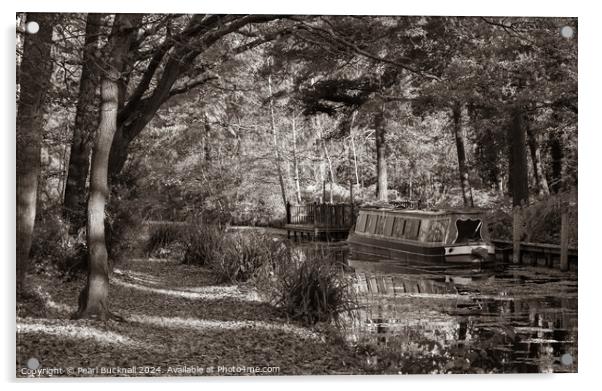 Canal Boat on the Basingstoke Canal sepia Acrylic by Pearl Bucknall