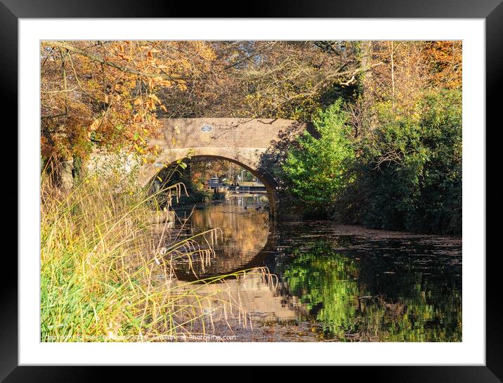 Basingstoke Canal in Autumn Framed Mounted Print by Pearl Bucknall