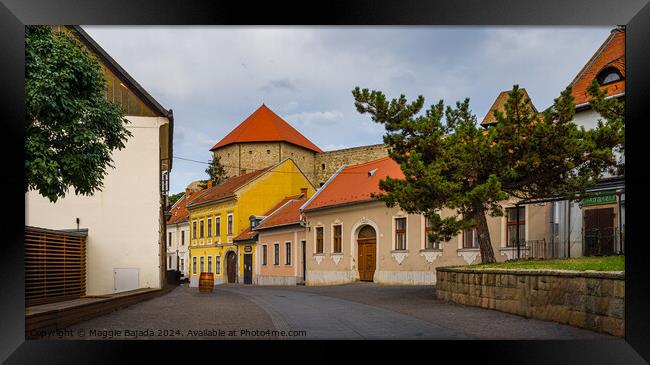 Colorful Streets of Eger Town in Hungary. Framed Print by Maggie Bajada