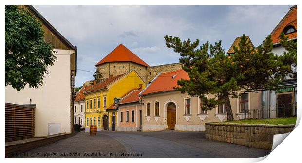 Colorful Streets of Eger Town in Hungary. Print by Maggie Bajada