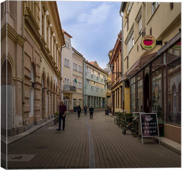 Colorful Streets of Eger Town in Hungary. Canvas Print by Maggie Bajada