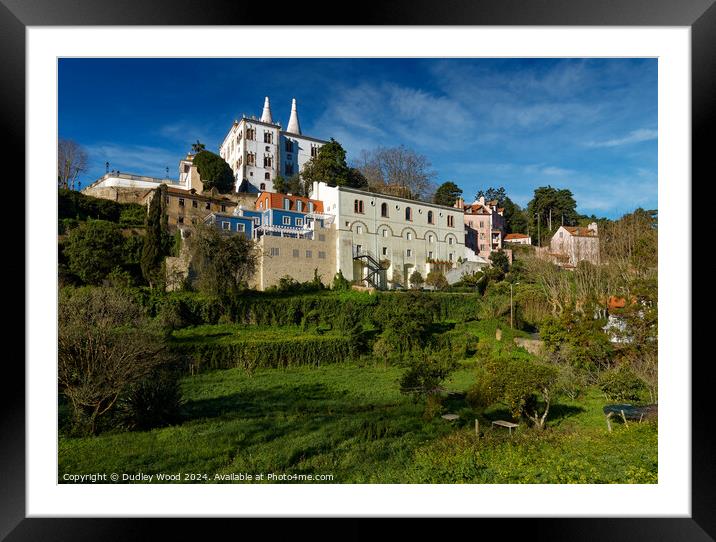 Sintra Palace 2 Framed Mounted Print by Dudley Wood