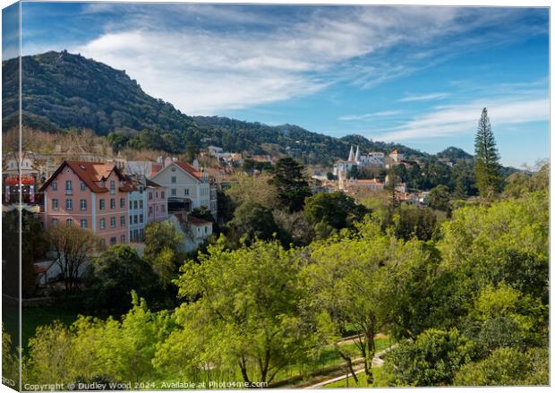 Sintra view Canvas Print by Dudley Wood