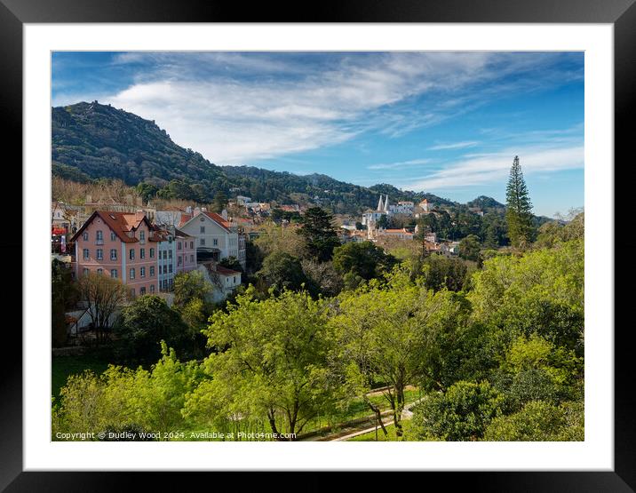 Sintra view Framed Mounted Print by Dudley Wood