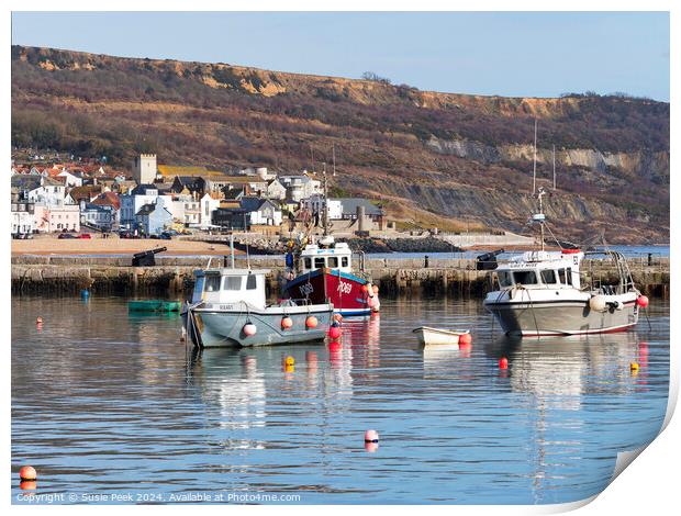 Winter Harbour at Lyme Regis Print by Susie Peek