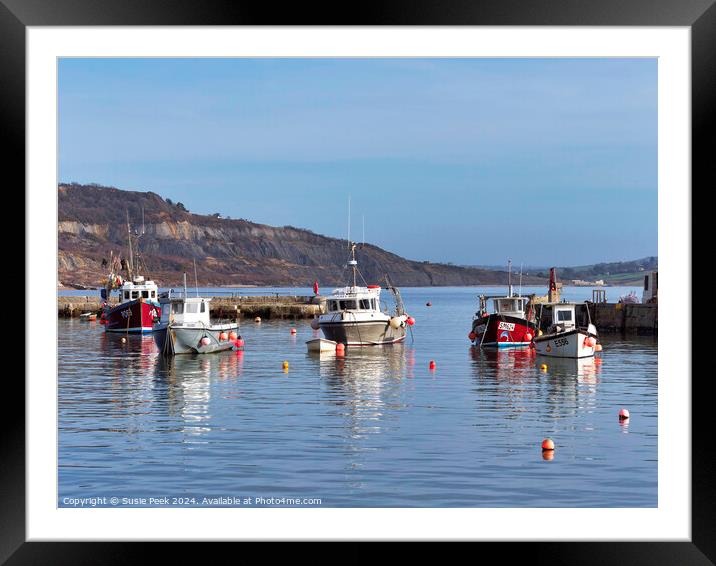 Winter Harbour at Lyme Regis  Framed Mounted Print by Susie Peek