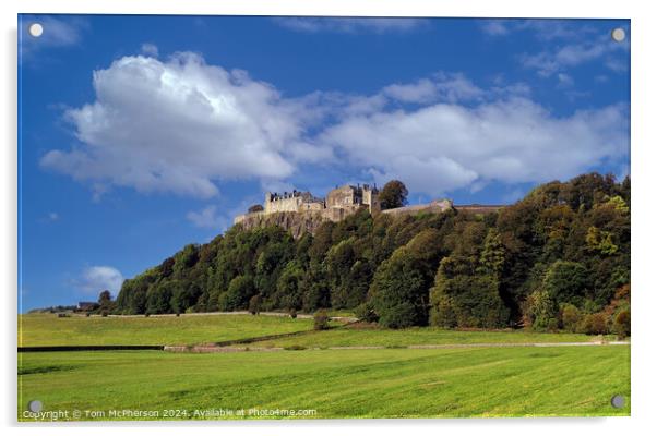 Stirling Castle  Acrylic by Tom McPherson